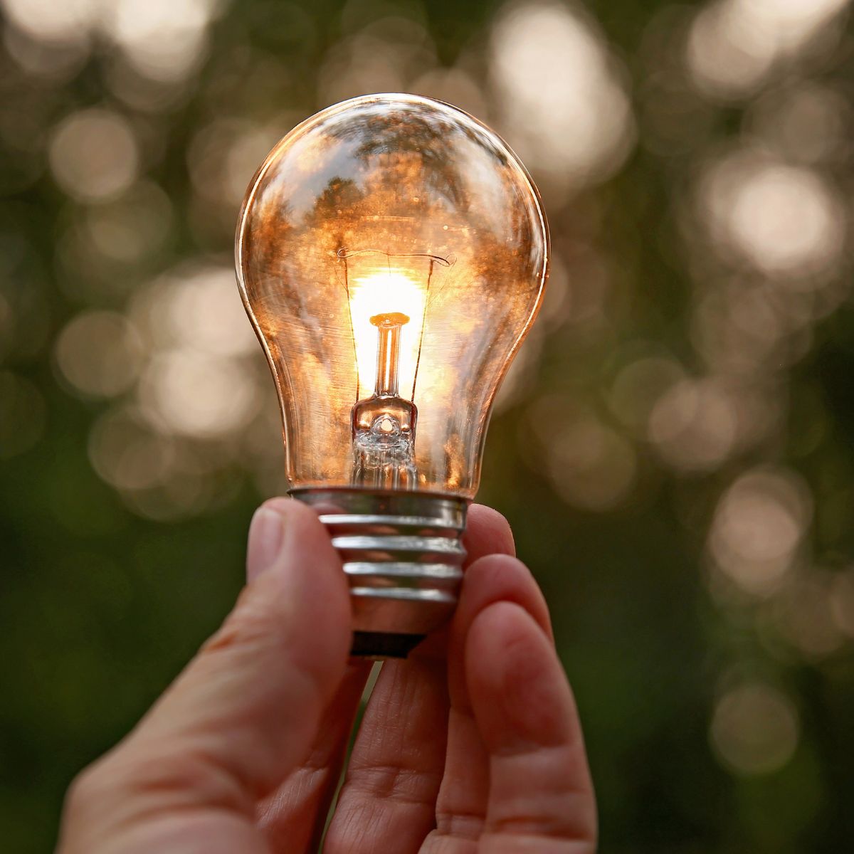 Comment lutter contre la précarité énergétique ?