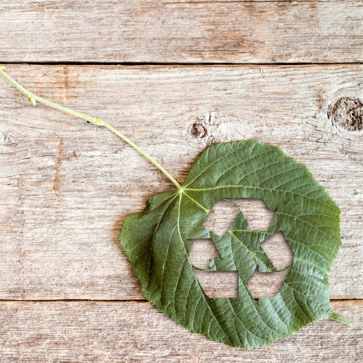 Guide des gestes écologiques