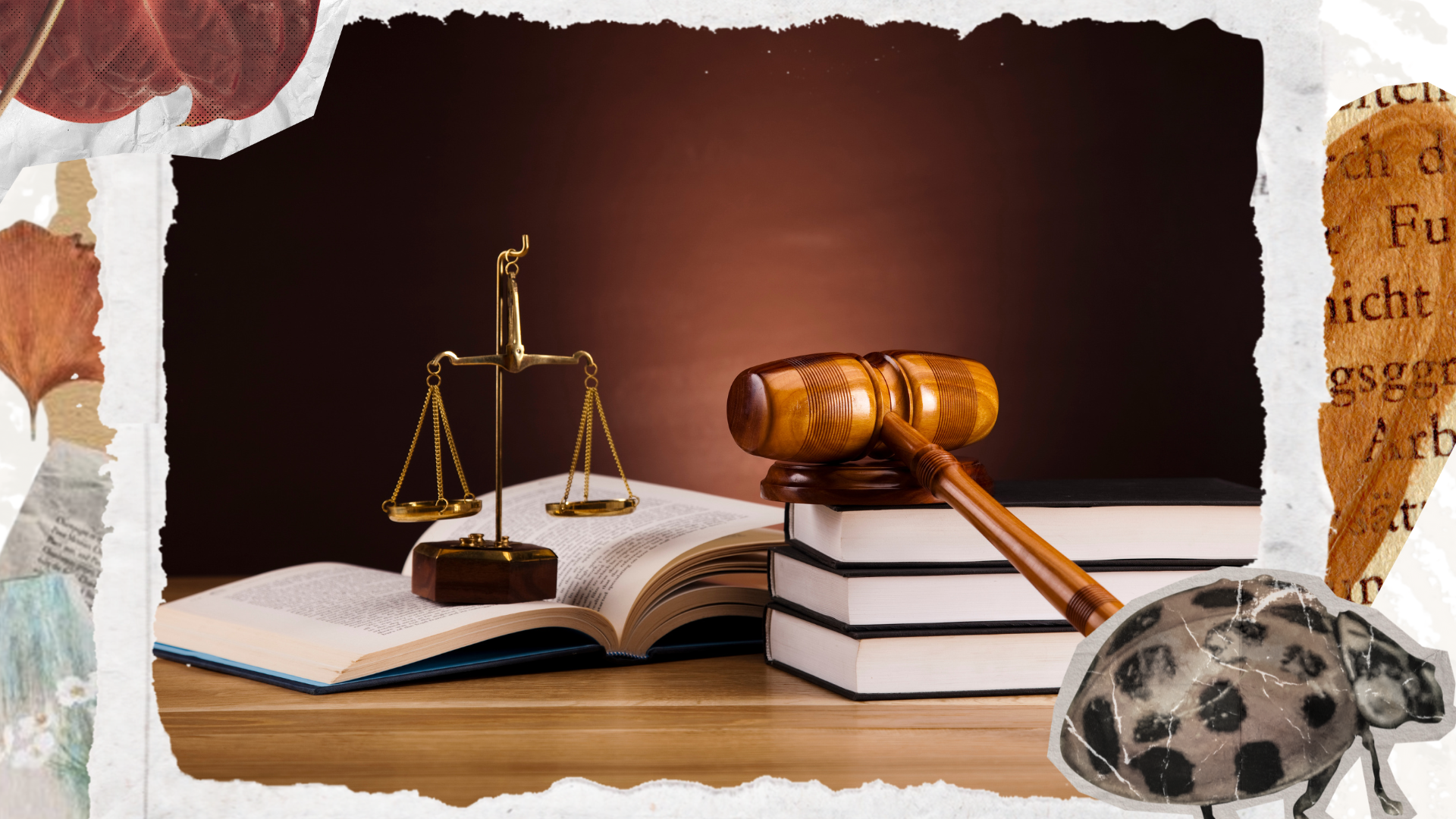 Que pensent vraiment les Français des EnR ?