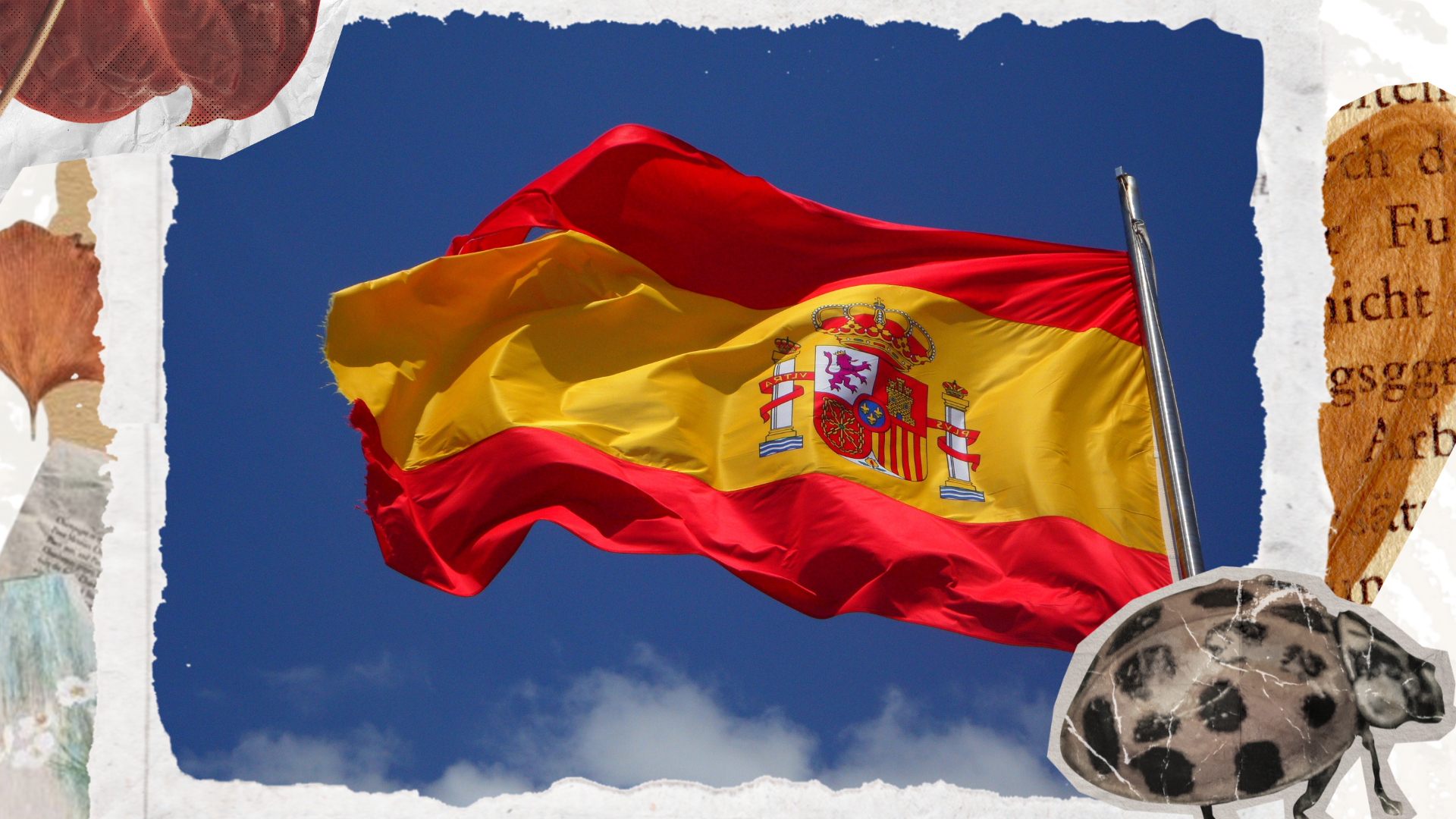 Interview de José Antonio Caicoya, Associé chez PPCP Legal & Finance