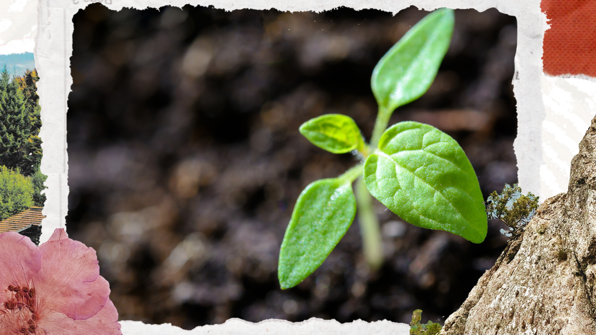 La finance écologique de A à Z (Partie 3/3)